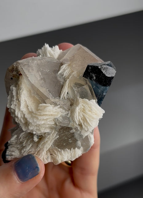 Blue Tourmaline with Quartz and Albite Flower PM1646
