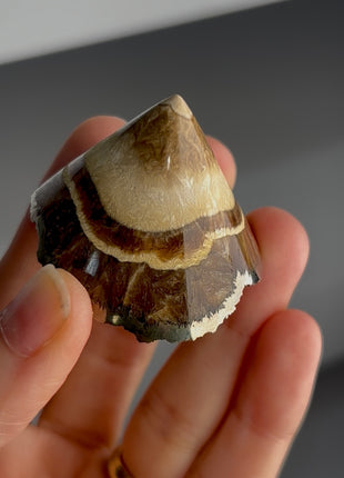 Barite with Marcasite Diamond PM1418