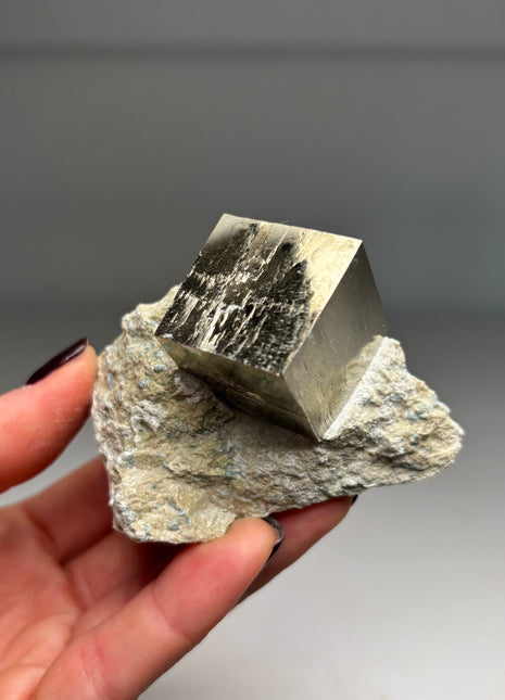 Cubic Pyrite on Matrix from Navajun, Spain