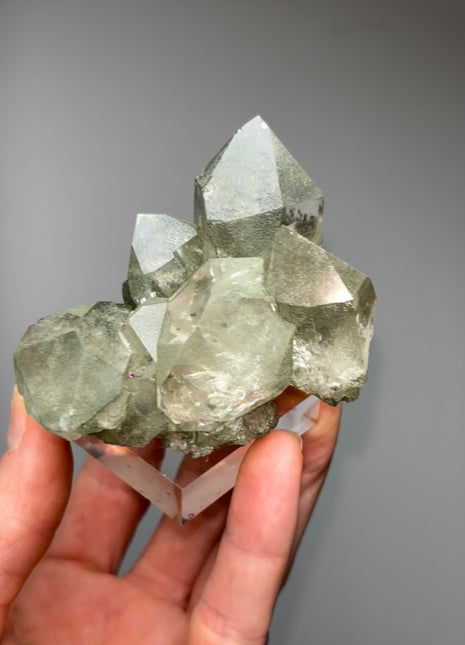 Green Chlorite Quartz - From Chamonix, French Alps
