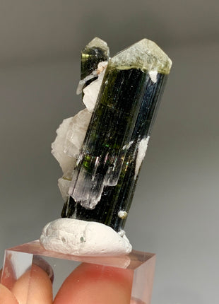 Bicolor Tourmaline with Cleavelandite - 56.4 Carats DWS