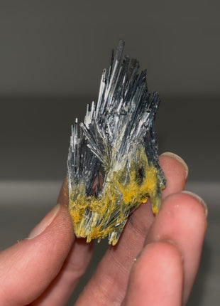 Stibnite Spray from Romania Collection # 588