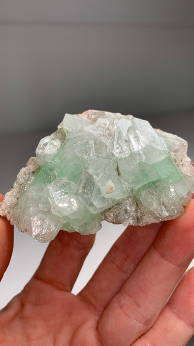 Green Apophyllite Crystals