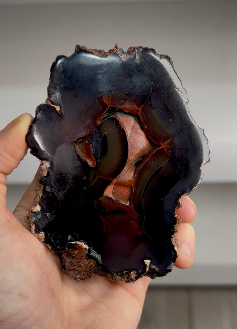 Red Fox Agate Geode from Argentina