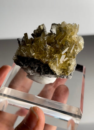 New find ! Golden Barite Specimen PM0433