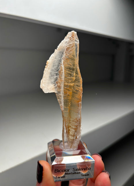 Icy Golden Selenite from Spain