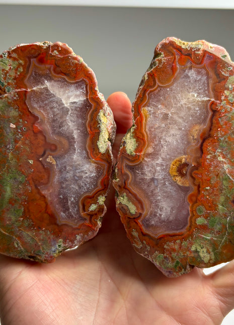 New ! Black Sea Agate Pair