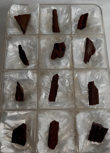 12 Pieces ! Permineralized Fossil Wood Fairy Wood Lot