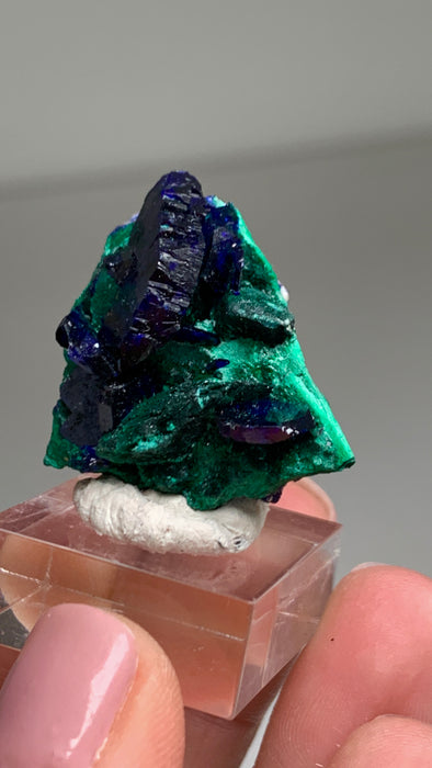 Lustrous Blue Azurite with Malachite - From Milpillas, Mexico