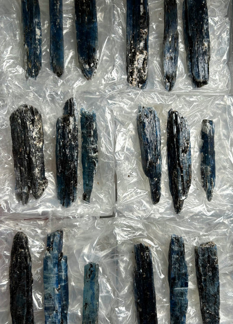 Rich Blue Kyanite with Mica - From Zambia - 18 Pieces