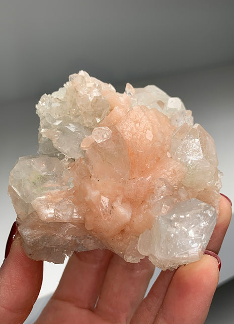 Beautiful Pink Stilbite with Apophyllite