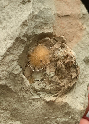 Bursting Sun Aragonite in Cluster - From Pantoja, Spain