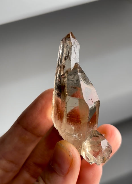 Jenipapo Cathedral Citrine PM1361