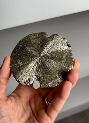 Wow ! Pyrite Sun - From Sparta, Illinois