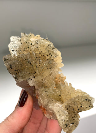 Yellow Barite Flower with Chalcopyrite