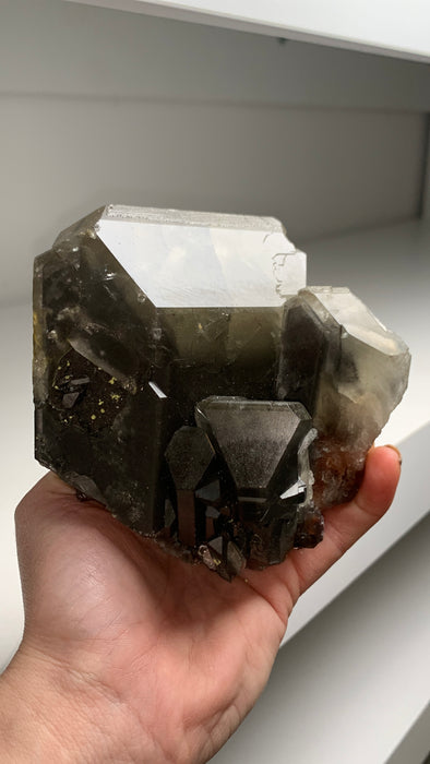 Incredible ! Barite with Marcasite, Huge Crystals