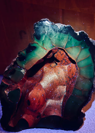 Red Fox Agate Geode from Argentina