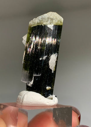 Bicolor Tourmaline with Cleavelandite - 56.4 Carats DWS