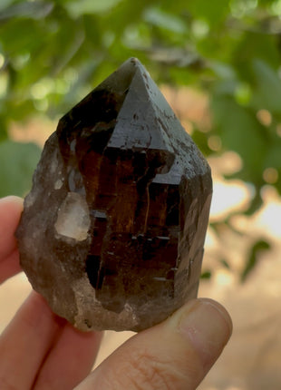 Morion Quartz PM1211