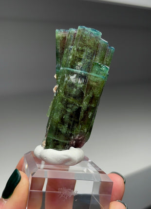 Amazing ! Red Green Tourmaline Collection # 311