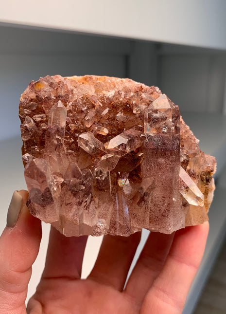 Great Phantoms ! Sunset Quartz 🔥 *