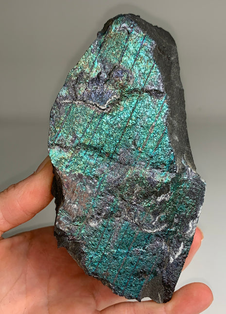 Rare ! Bornite Specimen 🌈 - From Lubin mine, Poland