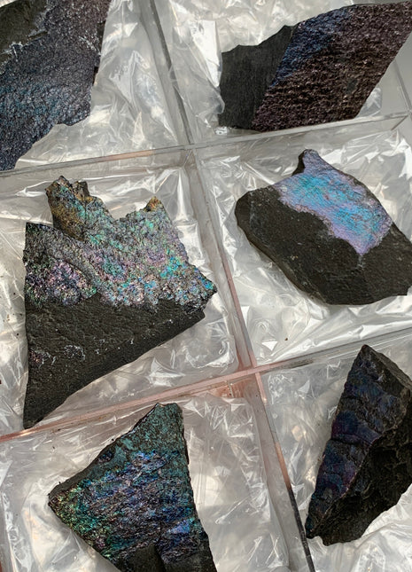 Rare ! Bornite Specimens Lot 🌈 - 6 Pieces