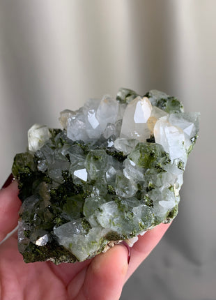 New ! Forest Epidote with Quartz  🌲