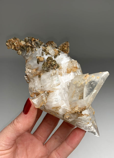Selenite with Pyrite - From Niccioletta mine, Italy -  Collection # 070