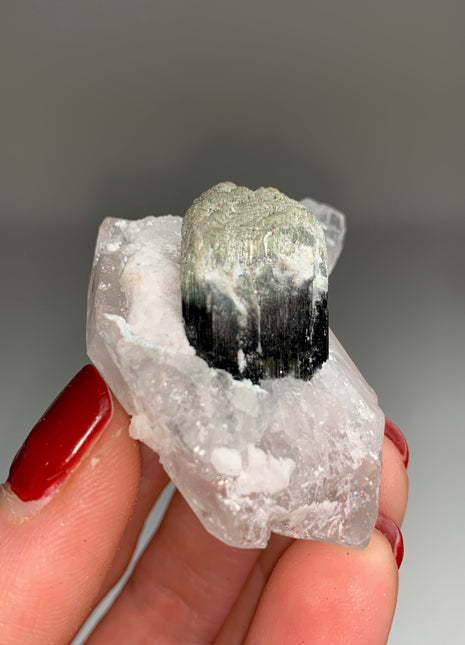 Quartz with Tourmaline