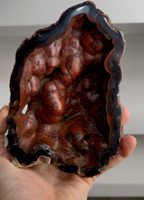 Red Fox Agate Geode from Argentina