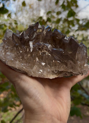 Rare ! Himalayan Smoky Quartz 💎
