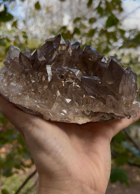 Rare ! Himalayan Smoky Quartz 💎