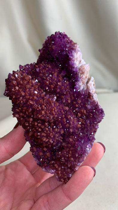 Red and Purple Bicolor Amethyst 
 - From Alacam Amethyst Mine