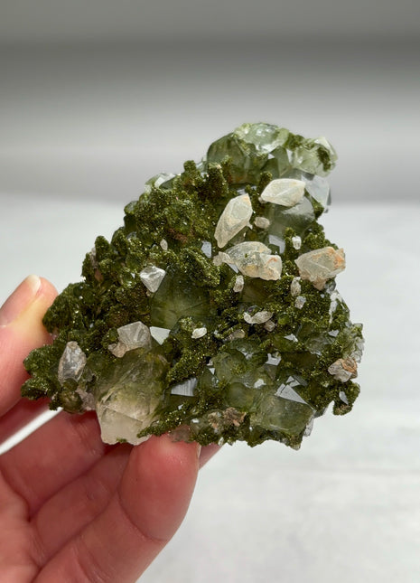Forest Green Epidote with Quartz