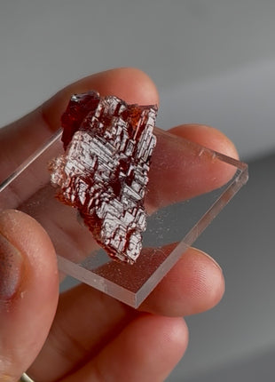 Etched Spessartine Garnet from Navegadora mine Collection # 710