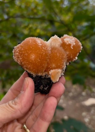 Bright Orange Thomsonite with Mesolite