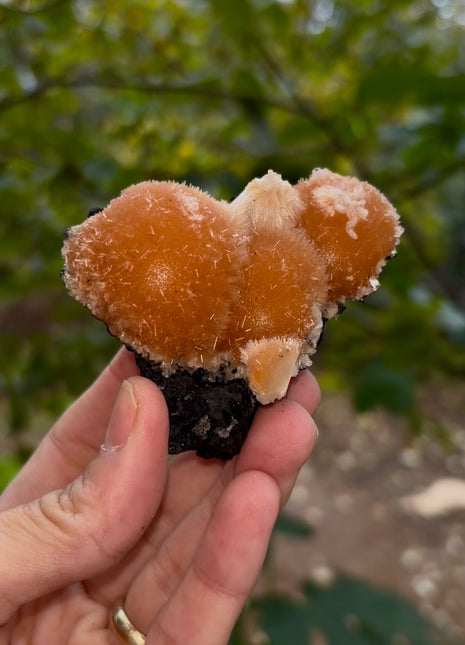 Bright Orange Thomsonite with Mesolite
