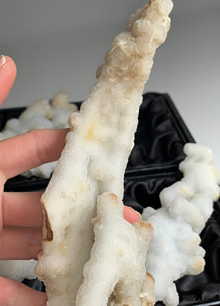 New ! White Coral Chalcedony Stalactite Lot - 4 pieces !