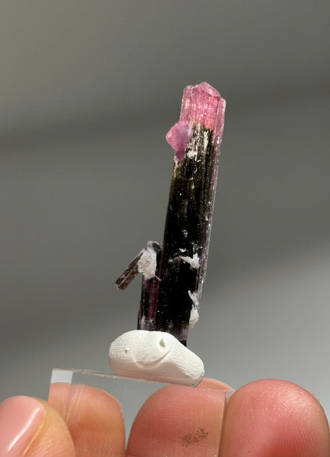 Pink Cap Tourmaline