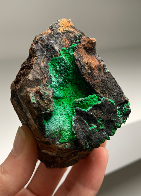 Vibrant Green Conichalcite ! From Spain