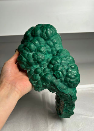 Big Size ! Botryoidal Green Malachite Specimen