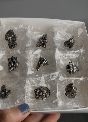 9 Pieces ! Campo del Cielo Meteorite Lot
