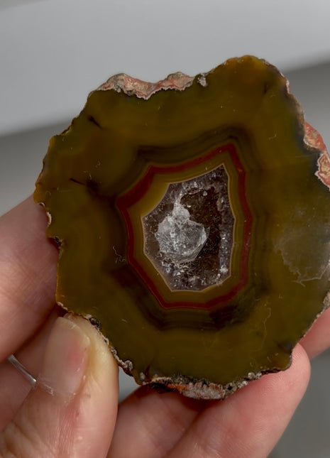 Condor Agate Geode from Argentina PM0878
