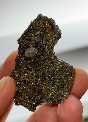 Rare ! Pyritized Petrified Wood PM0692