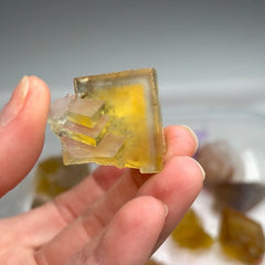 Collection image for: Cumberland Habit Quartz