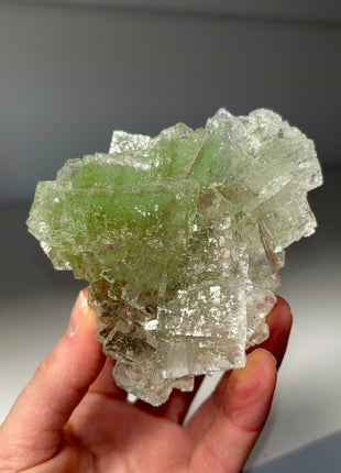 Multicolor Gemmy Halite Specimen