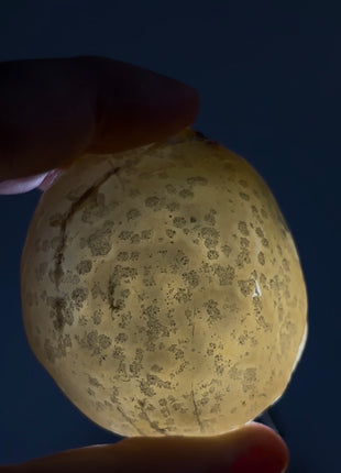 Rare Enhydro Agate PM1009