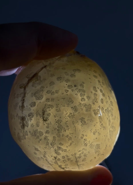Rare Enhydro Agate PM1009