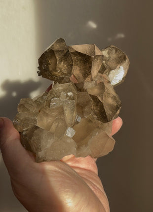 Alpine Smoky Quartz with Green Chlorite ! Wow